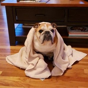 Meet your Posher, Jack